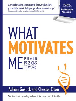 cover image of What Motivates Me